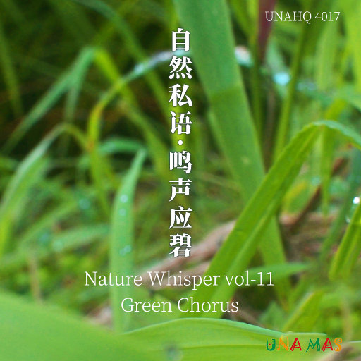 内地三级在线观看
